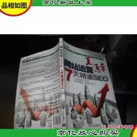 网站运营直通车:7天精通SEO