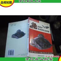 龟的养护及疾病防治精要