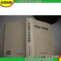 中国油气发展战略 [精装本]