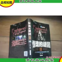 惊魂的谜团 II