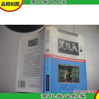 黑镜头 4 鲜花与坟墓
