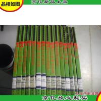 铁假面具/世界少年文学精选