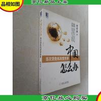 中国怎么办:当次货危机改变世界
