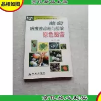 葡萄病虫害诊断与防治原色图谱