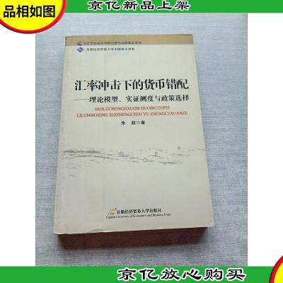 汇率冲击下的货币错配:理论模型实证测度与政策选择