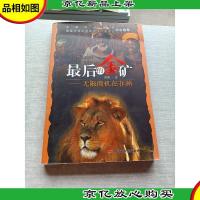 *的金矿:无限商机在非洲