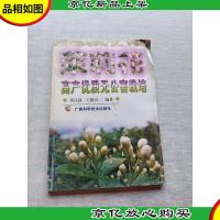 茉莉花高产优质无公害栽培