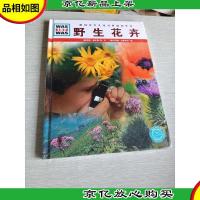 什么是什么:野生花卉