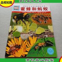 什么是什么:蜜蜂和蚂蚁