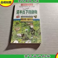 灌木丛下的动物/从小爱科学·小口袋大世界