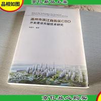 温州市滨江商务区CBD开发建设关键技术研究