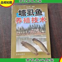 塘虱鱼养殖技术