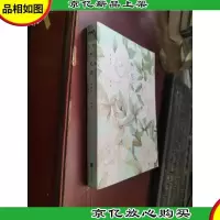 阿尼玛