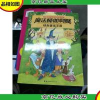 魔法师伽利略拯救童话王国(德国经典专注力亲子游戏书)