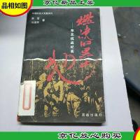 燃烧的黑土地:东北抗战纪实