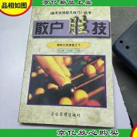 散户胜技:化劣势为优势的实战技巧