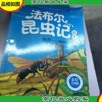蛛蜂:聪明的捕蛛猎手(彩绘美图版)/法布尔昆虫记绘本
