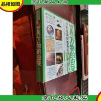 世界万物的由来