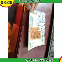 小麦高产栽培技术