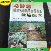 马铃薯稻田免耕稻草全程覆盖栽培技术。