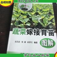 蔬菜嫁接育苗图解。