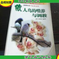 依人鸟的喂养与调教