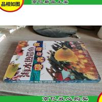 海水热带鱼喂养与观赏