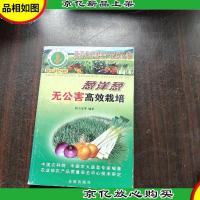 葱洋葱无公害高效栽培