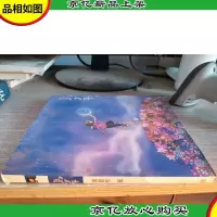 鸟少年