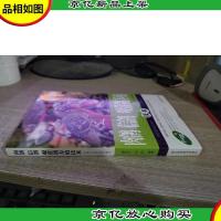 肉鸽 信鸽 观赏鸽养殖技术