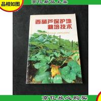 西葫芦保护地栽培技术
