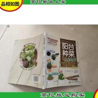 阳台种菜全图解