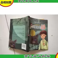 一只眼睛的猫:国际大*小说