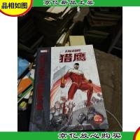 超级英雄成长故事集:猎鹰