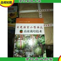 日光温室小型西瓜高效栽培技术