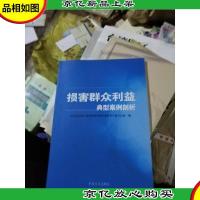 损害群众利益典型案例剖析