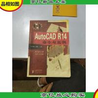 AutoCAD R14命令与实例