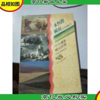 永恒的瞬间:中外摄影精品欣赏