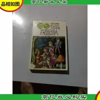 微型探险队