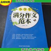 小学生满分作文范本