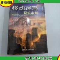 移动迷宫Ⅱ:烧痕审判