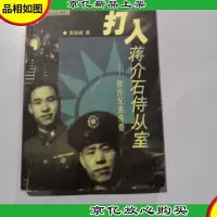 打入蒋介石侍从室——段氏兄弟传奇(无名英雄系列丛书)