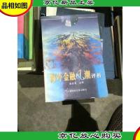 海外金融风潮评析