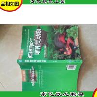 两栖爬行哺乳类动物