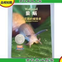 狼蜗 : 后花园的捕猎者 : A backyard predator