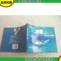 神奇的海豚奥利娜:24开铜版纸彩印