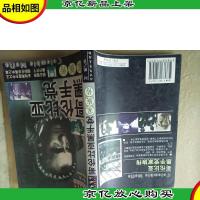 哥伦比亚黑手党家族传