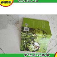 你是我的小确幸