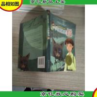 一只眼睛的猫:国际大*小说