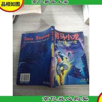 司马小龙与智幻侠训练营